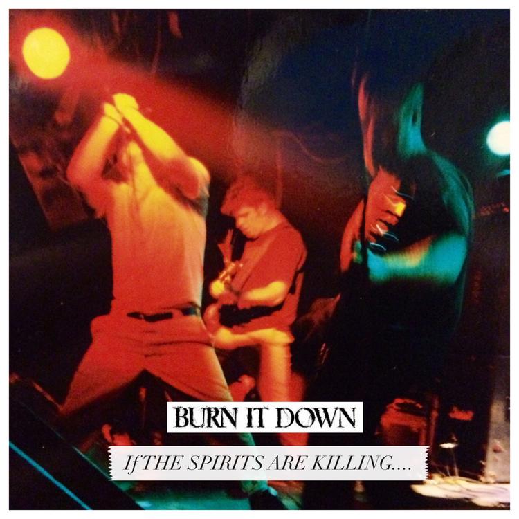 Burn It Down's avatar image