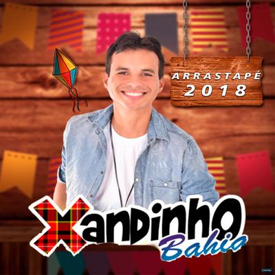 A Mulher Foi Embora By Xandinho Bahia's cover