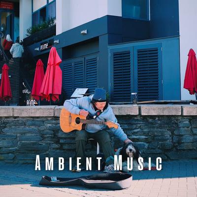 Animal Ambient Antics's cover