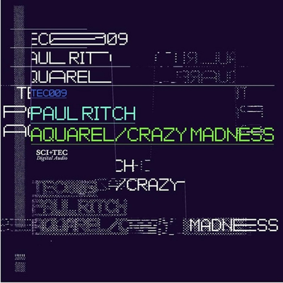 Crazy Madness By Paul Ritch's cover