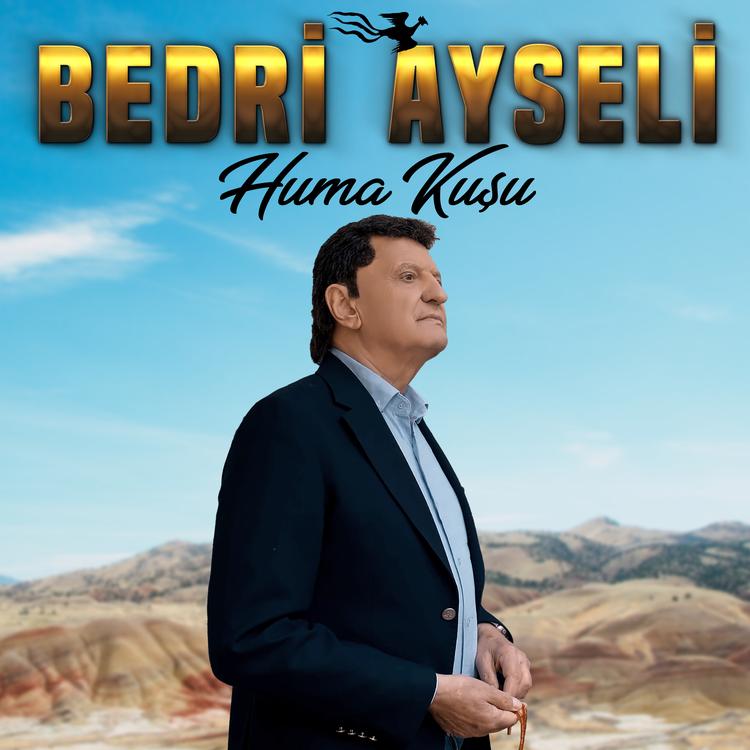 Bedri Ayseli's avatar image