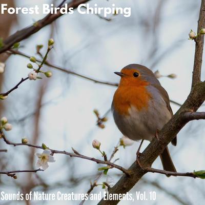 Forest Birds Chirping - Sounds of Nature Creatures and Elements, Vol. 10's cover