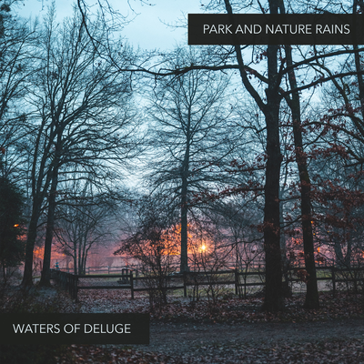 A Rainy Day At The Park By Waters Of Deluge's cover