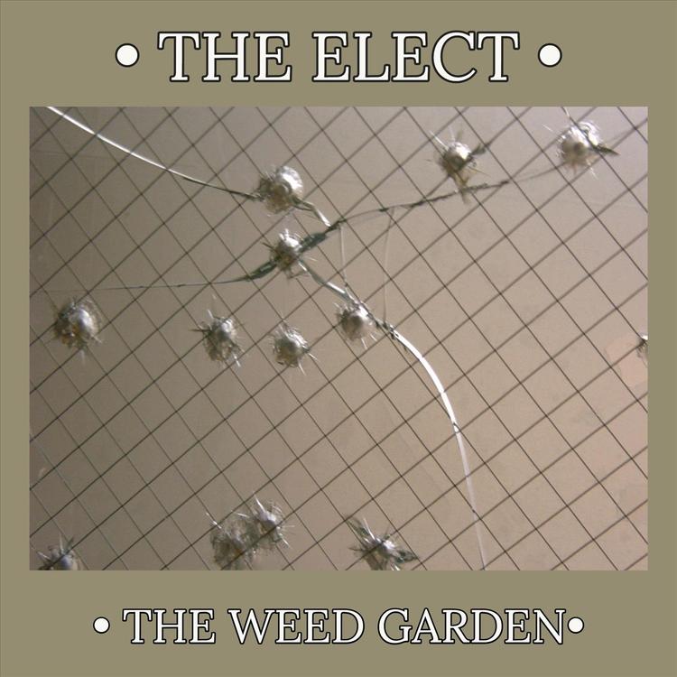 The Weed Garden's avatar image