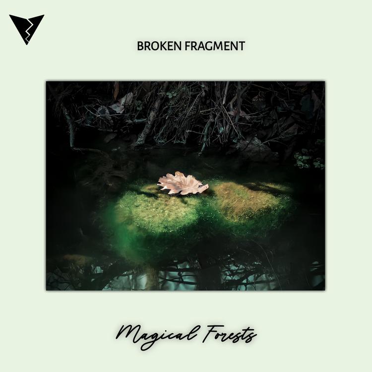 Broken Fragment's avatar image