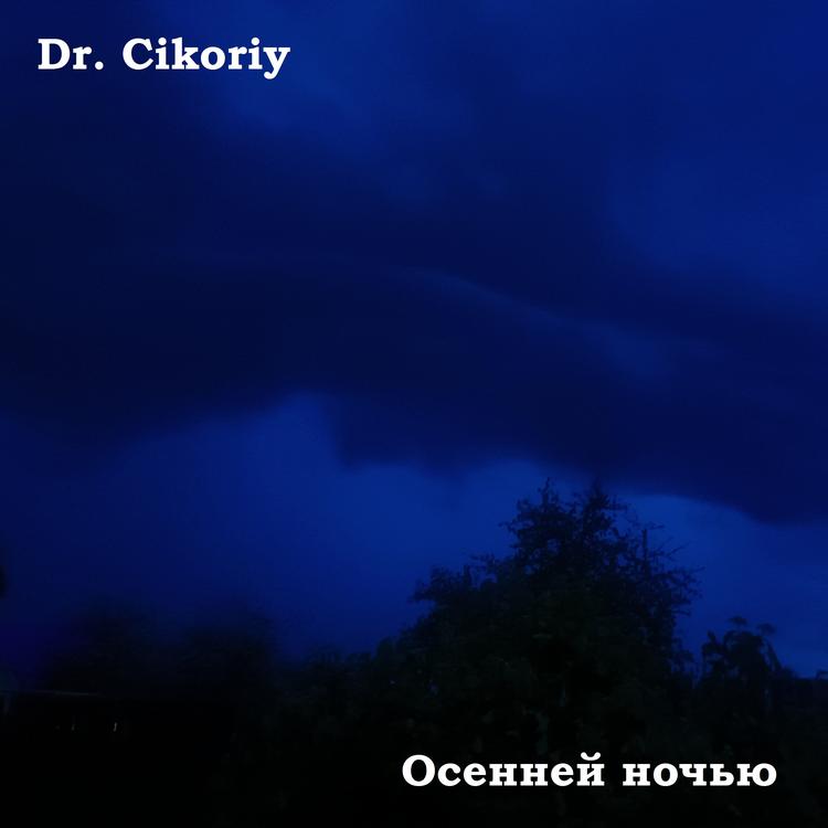 Dr. Cikoriy's avatar image