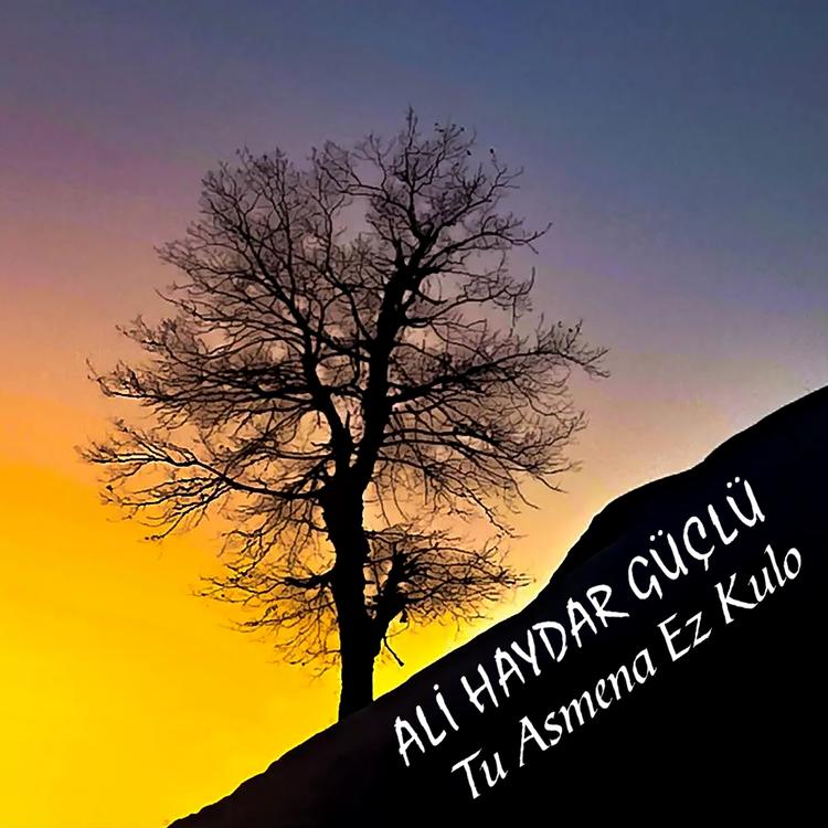 Ali Haydar Güçlü's avatar image