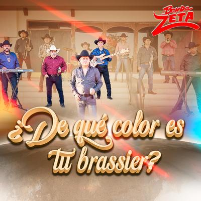 ¿De Qué Color Es Tu Brassiere?'s cover