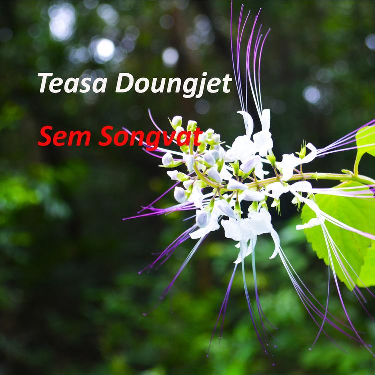 Sem songvat's avatar image