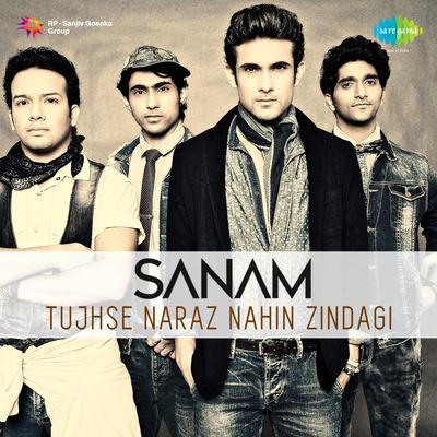 Tujhse Naraz Nahi Zindagi - Sanam's cover