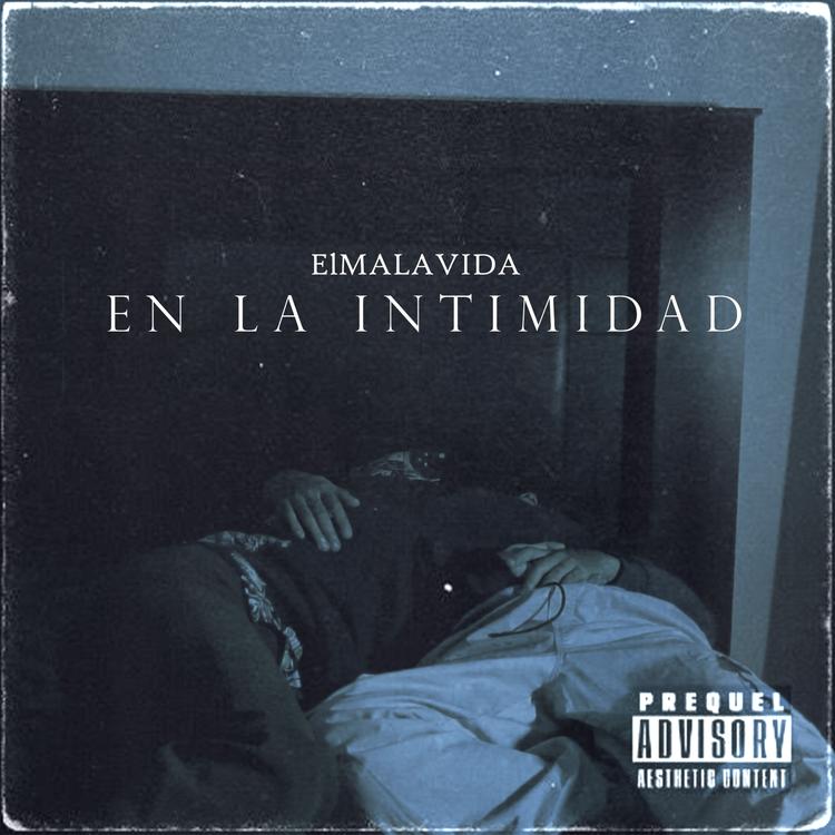 elmalavida's avatar image