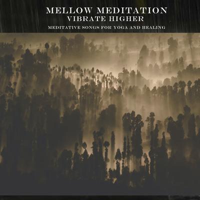 Healing Rain By Mellow Meditation's cover