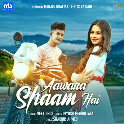 Aawara Shaam Hai (feat. Manjul Khattar & Rits Badiani)'s cover