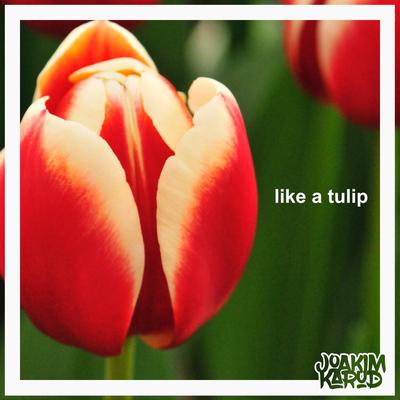 like a tulip By Joakim Karud's cover
