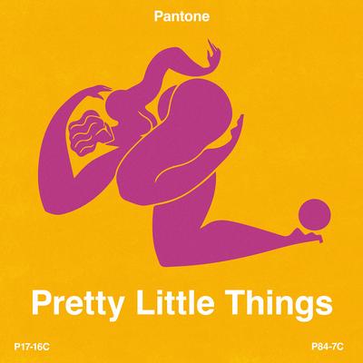 Pretty Little Things By Pantone's cover