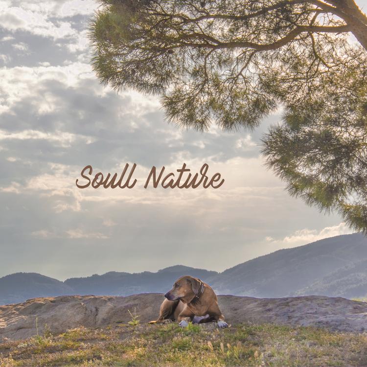 Soull Nature's avatar image