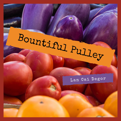 Bountiful Pulley's cover