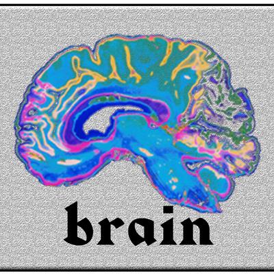 Brain By REMI, Sensible J, Lori's cover