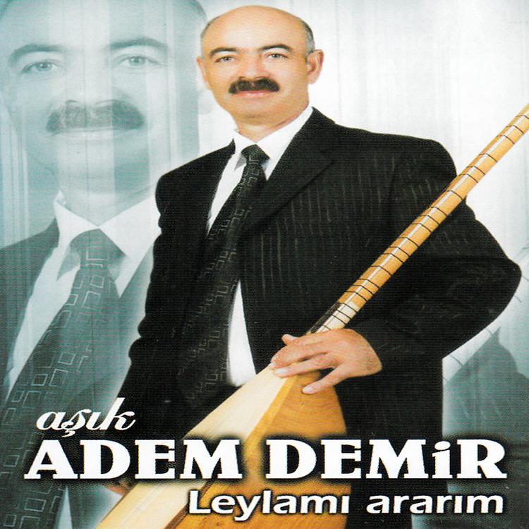 Aşık Adem Demir's avatar image