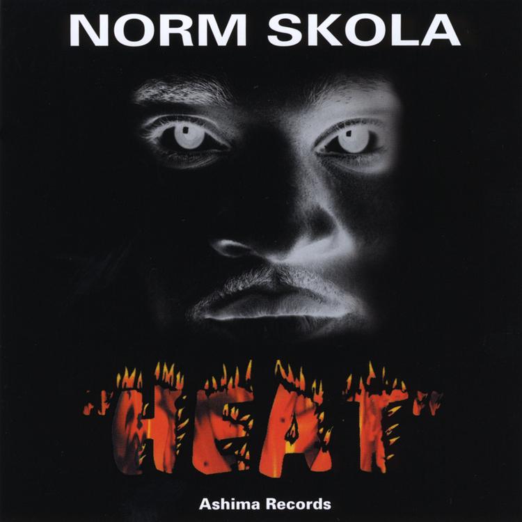 Norm Skola's avatar image