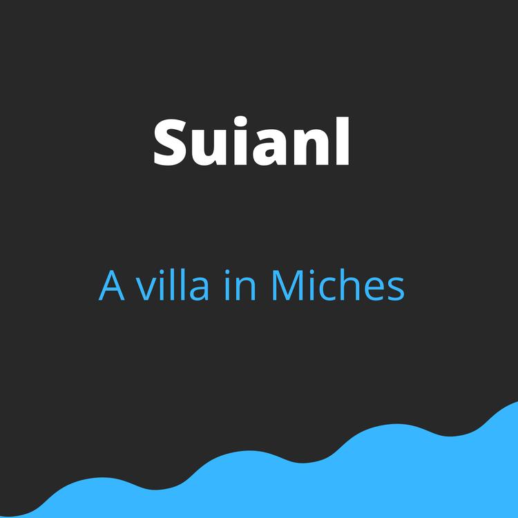 Suianl's avatar image