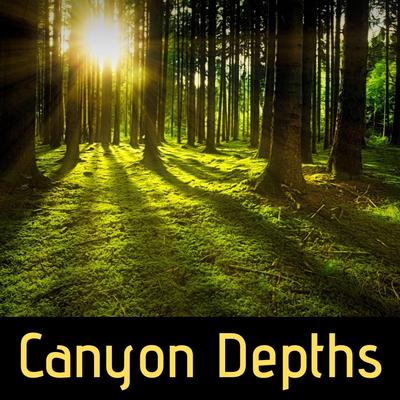 Canyon Depths's cover