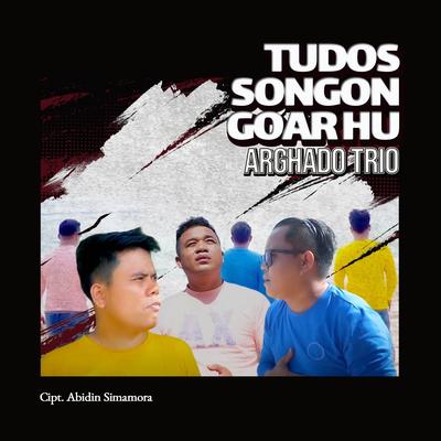 Tudos Songon Goarhu's cover