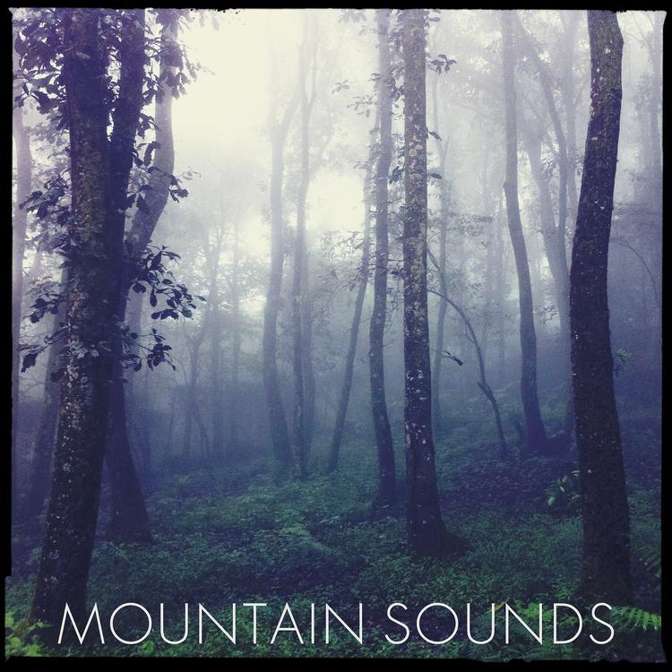 Mountain Sounds's avatar image