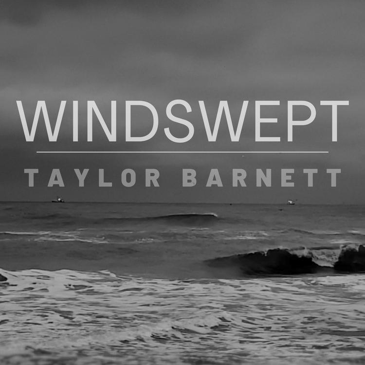 Taylor Barnett's avatar image