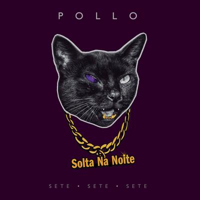 Solta Na Noite By POLLO, Sorriso Maroto's cover