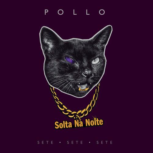 POLLO's cover