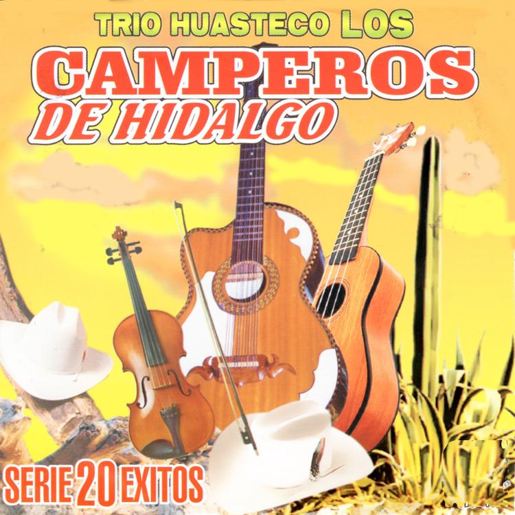 Trio Huasteco Los Camperos De Hidalgo's avatar image