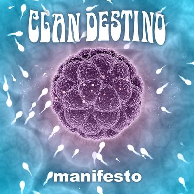 Manifesto's cover