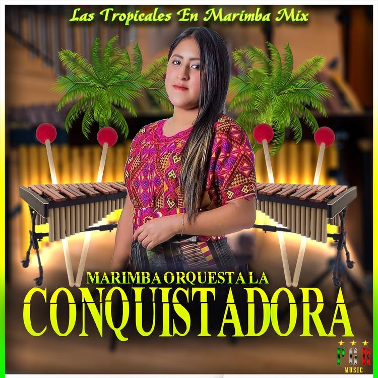 Marimba Orquesta La Conquistadora's avatar image