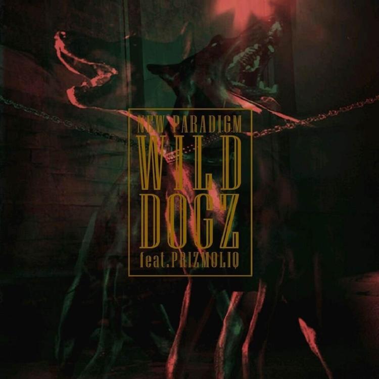 Wild Dogz's avatar image