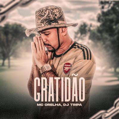Gratidão By Dj Tripa, Mc Orelha's cover