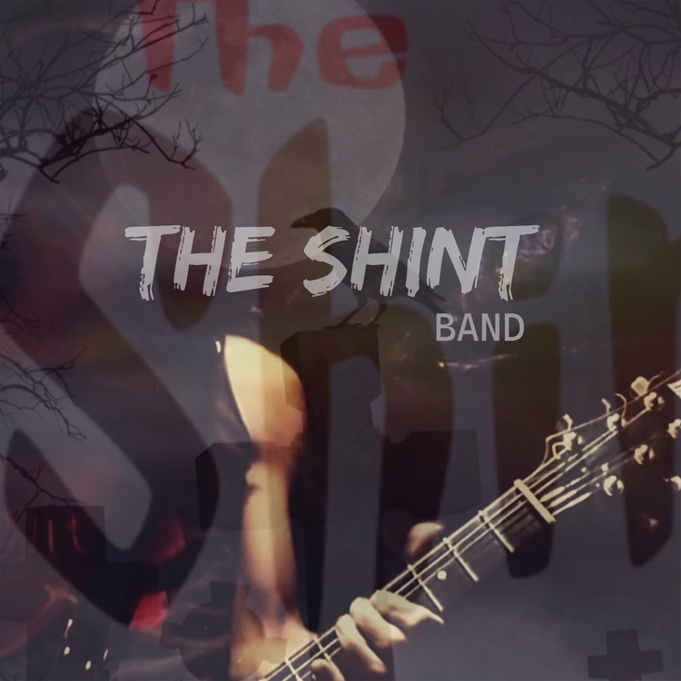 The Shint Band's avatar image
