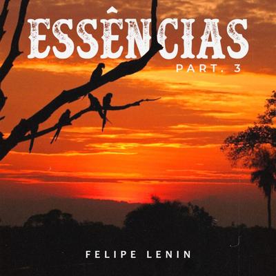 Alô Galera do Chapéu By Felipe Lenin's cover