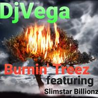 DjVega's avatar cover