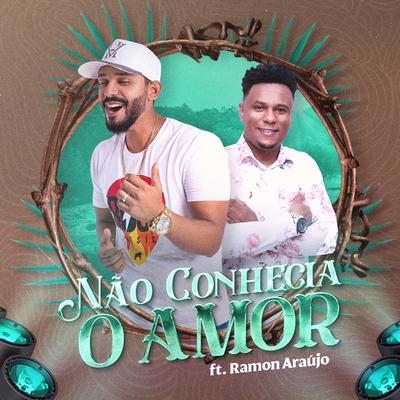 Não Conhecia o Amor's cover