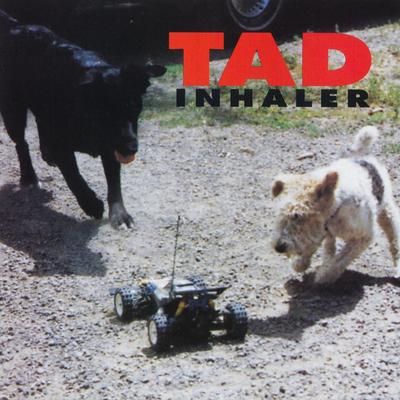 Luminol By Tad's cover