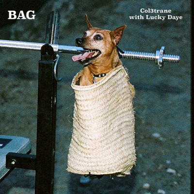 Bag (with Lucky Daye)'s cover