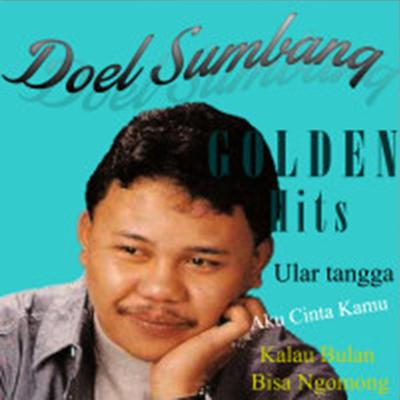 Aku Tidak Sinting By Doel Sumbang's cover
