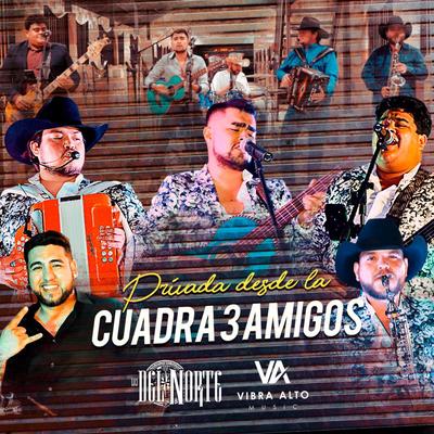 Privada Desde la Cuadra 3 Amigos (En vivo)'s cover