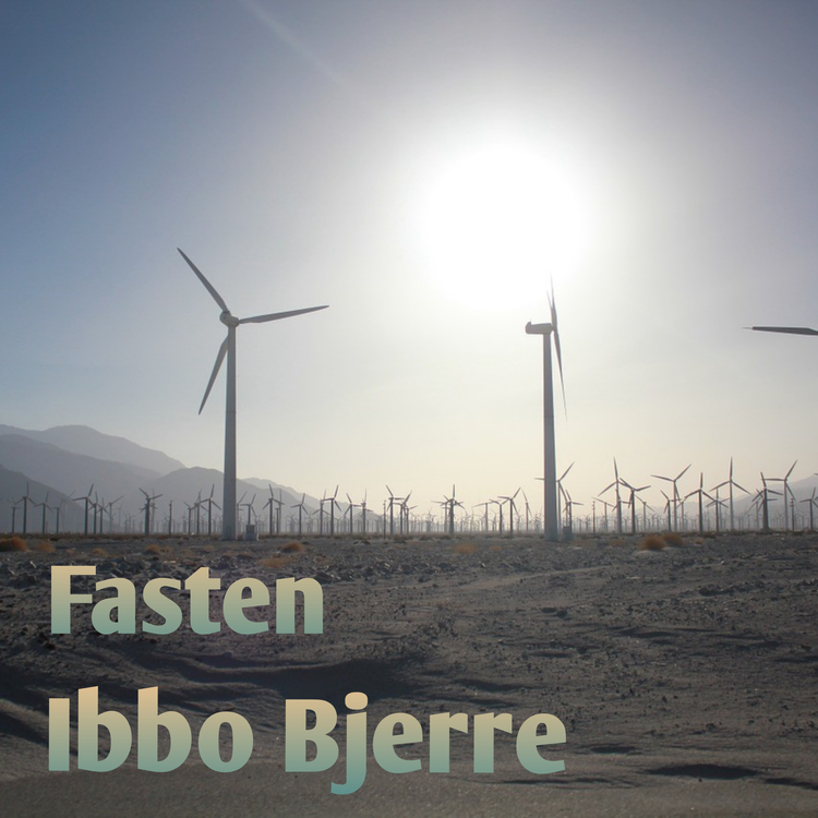 Ibbo Bjerre's avatar image