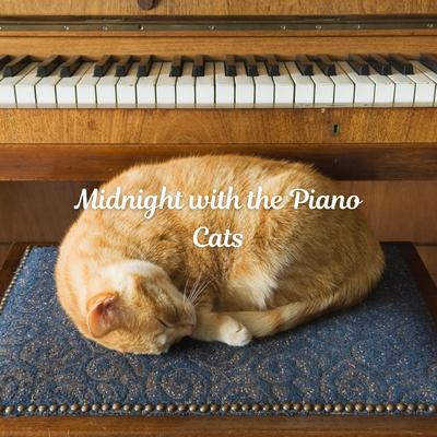 Feline Nocturnes By Soft Jazz Playlist, The Jazz Cats, Calm Instrumental Coffee House's cover