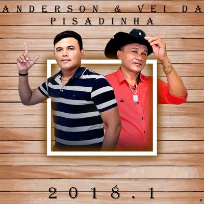 Camisa Rasgada (Ao Vivo) By Anderson & Vei da Pisadinha's cover