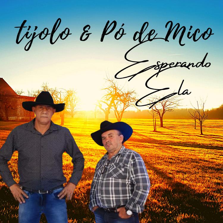Tijolo e Pó de Mico's avatar image