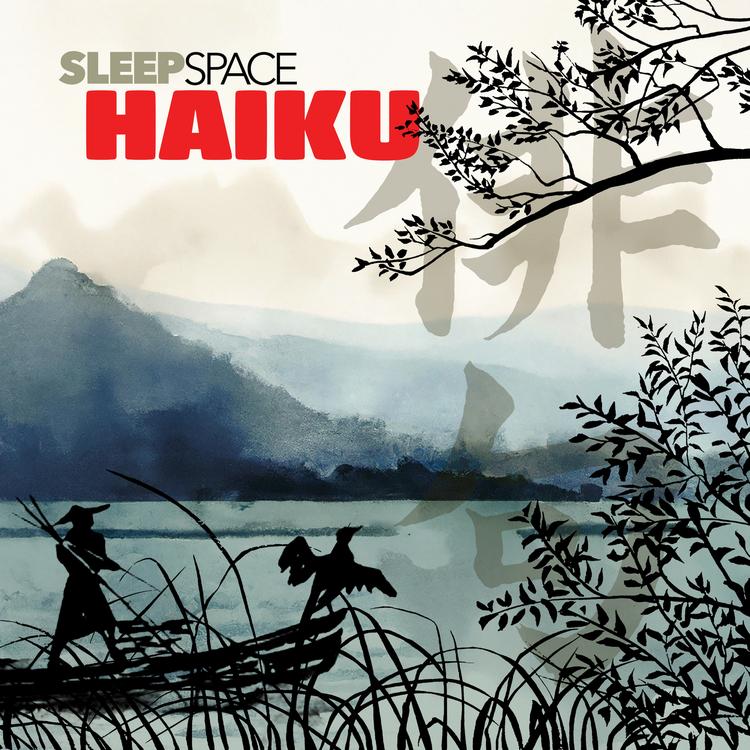 SleepSpace's avatar image