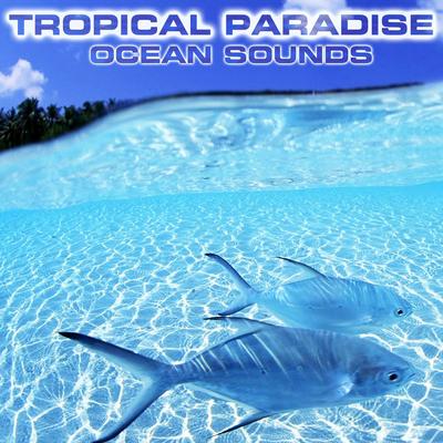 Tropical Water Sounds (feat. Water Atmosphere Sounds, Water Healing FX, Water Sleep Sound, Ocean Atmosphere Sounds, Ocean Breeze Sounds & Ocean Waves White Noise)'s cover